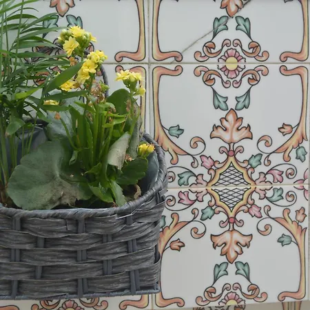 Cantinho Da Celeste Accommodatie bij particulieren Paramos