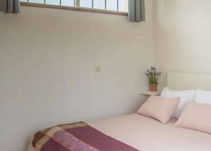 Cantinho Da Celeste Paramos