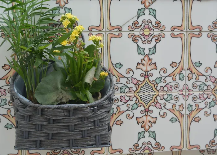 Cantinho Da Celeste 民宿 Paramos